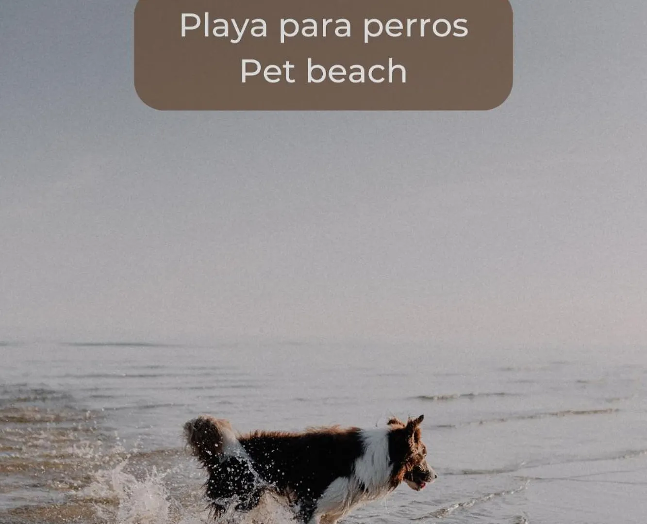 קורלחו Candy Pop - Pool, 2 Terraces,Desk And High Speed Internet 0*,  ספרד